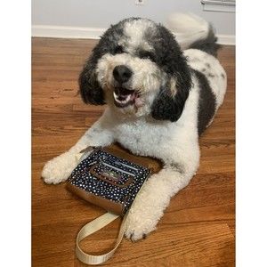 Lily Bloom Crossbody Shoulder Bag ~Blue White Polka Dot Messenger Purse